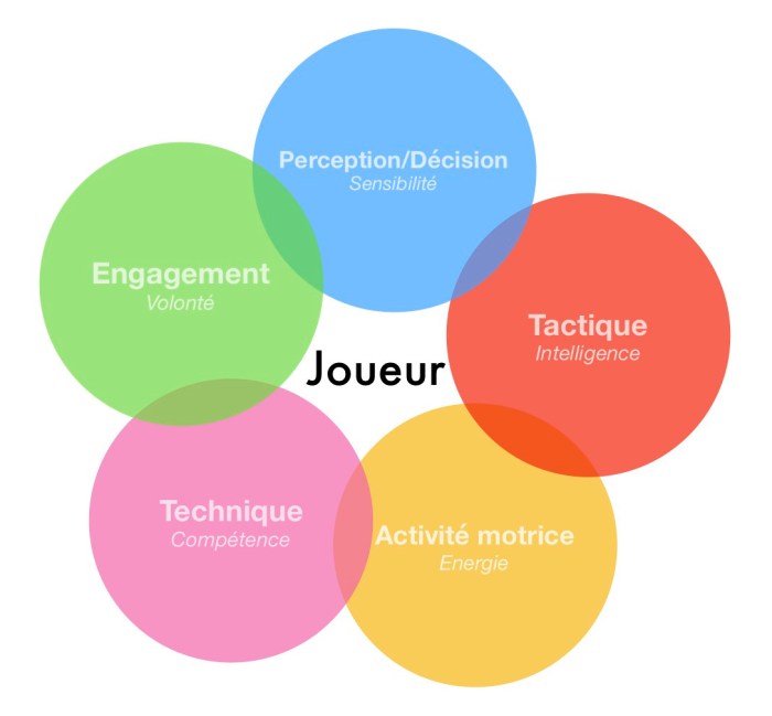 Les 5 modalité du joueur